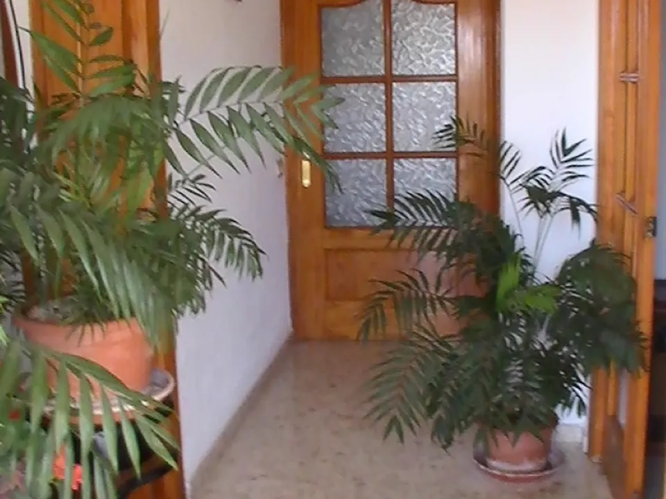 Landsbyhus i Albunol, Granada - bilde 2